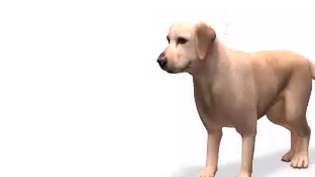 8379d19fe6e4836aba6a03a48c322571