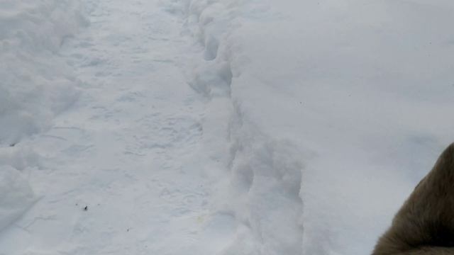 8adbff8d3b2182812bbebd3a35739ef9