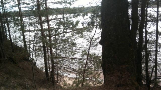 Радость моя -  Автор текста и музыки иеромонах Роман Матюшин Правдин исполнитель Руслан Богатырёв