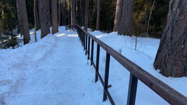 E80b9ec20a46f3203c62012e9970a663