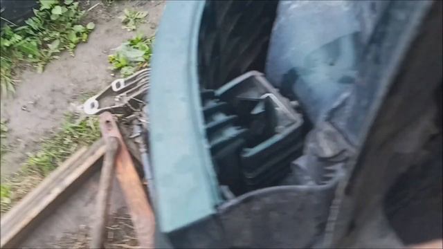 Интерьерные ландшафты