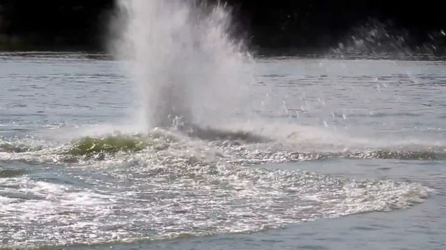 степан и Rickter.ru в одном шаге перед п...