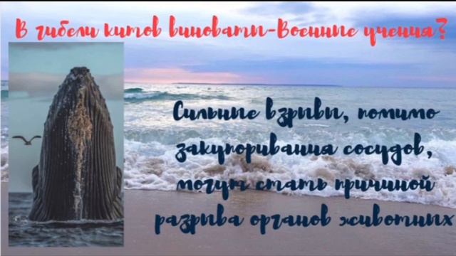 Новостное сообщение по теме «Экологические проблемы- глобальная проблема #1 в мире»