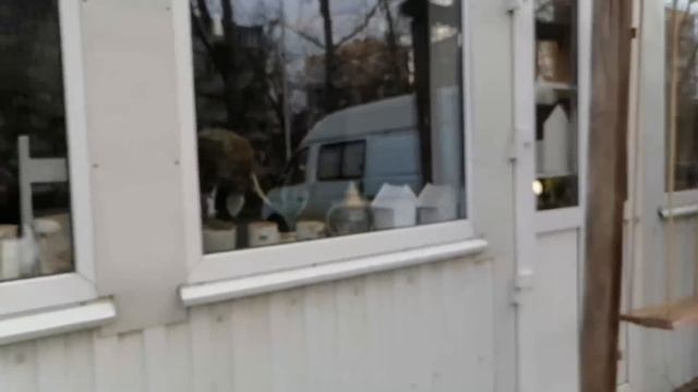 5aed7297fff38e950634cdb9525821a6