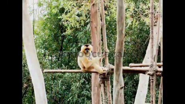 Nikon L120 Photo Samples