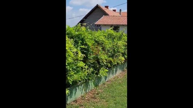 Na Prodaju Predivna Kuća Na Selters Banji - Mladenovac - 400 M² + 17,64 Ari - 300.000 € - ID: K432