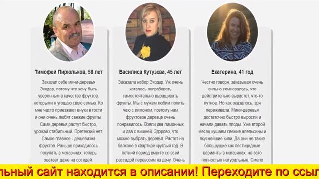 Гибридные мини-деревья. Домашние фрукты