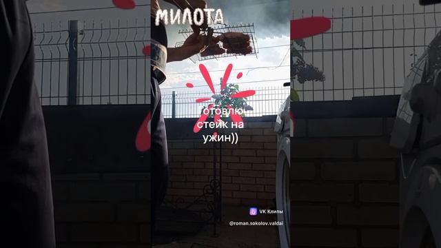 Стейк на барбекю))(2)