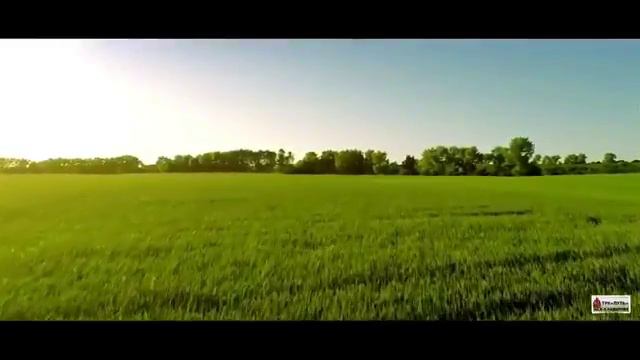 Красивый расказ. Маа шаа Аллах!