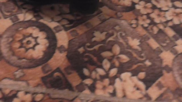 Ef2295228c7b99e3250e30f2768b8ddb