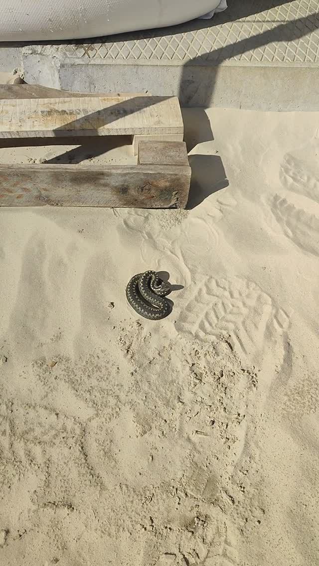 83b5f7069f86127ab7aed7e418c994a8