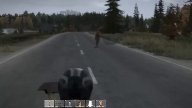 Играем в DayZ Standalone