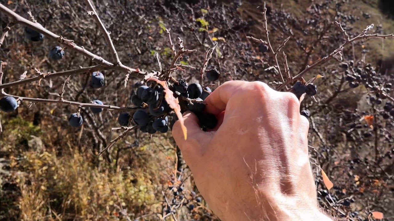 Cc316a0c637121b7a983579980f8c8b6