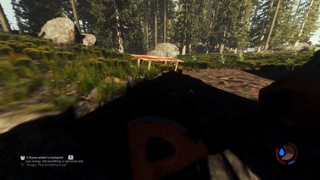 The Forest | Обновление 0.14 | Смотрим #8