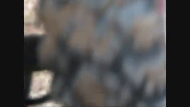 RC Axial AX10 Scorpion Rock Crawler Kopie Von HSP 4Rad-Lenkung 4Rad-Antrieb 55T-Motor