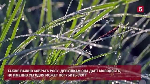 Пятый канал НОВОСТИ