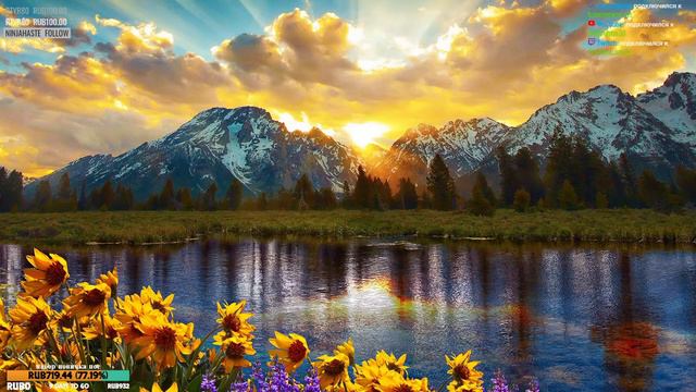 Первое прохождение Skyrim стрим 4