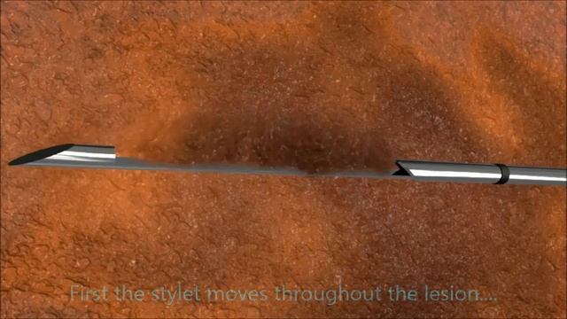 D654e92df748328247910361b1a62d74