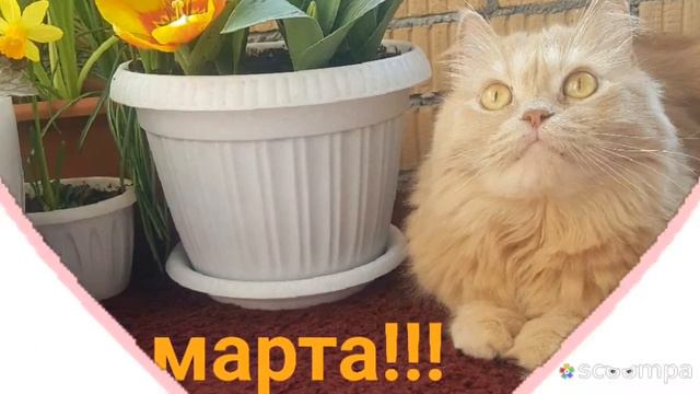 С 8 Мартом! 👧 Желаю здоровья и счастья! 💪 Отличных оценок в школе! 💯 И желаю всего наилучшего! ❤