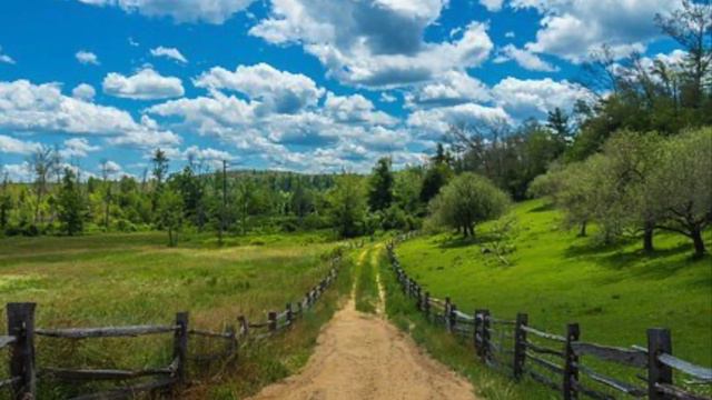 29a15359ad14aef5f71be3c634c9b142