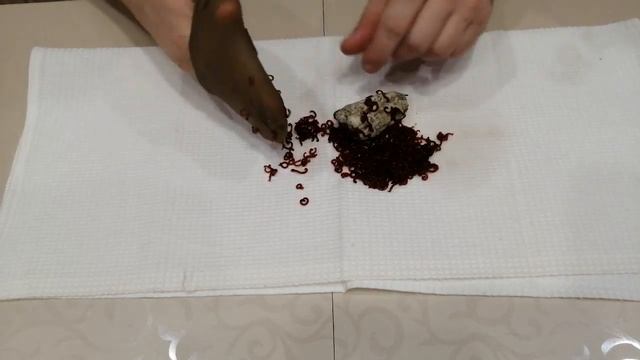Лучший способ хранения мотыля без заморочек