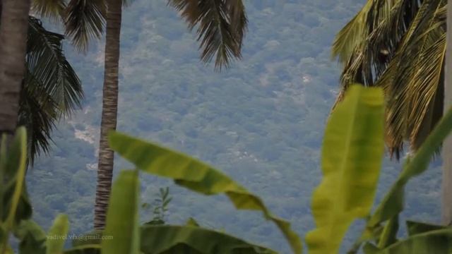 FREE STOCK FOOTAGE HD 1080p - Nikon Coolpix P530 (x 42) Zoom Test..