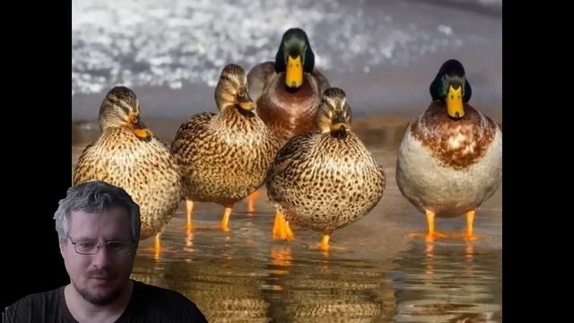 Новости охоты и рыбалки на 21 апреля 2023 года