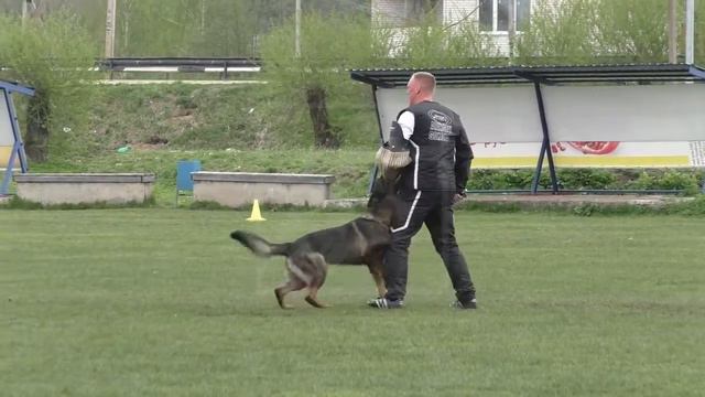 Russia Team WUSV-2017