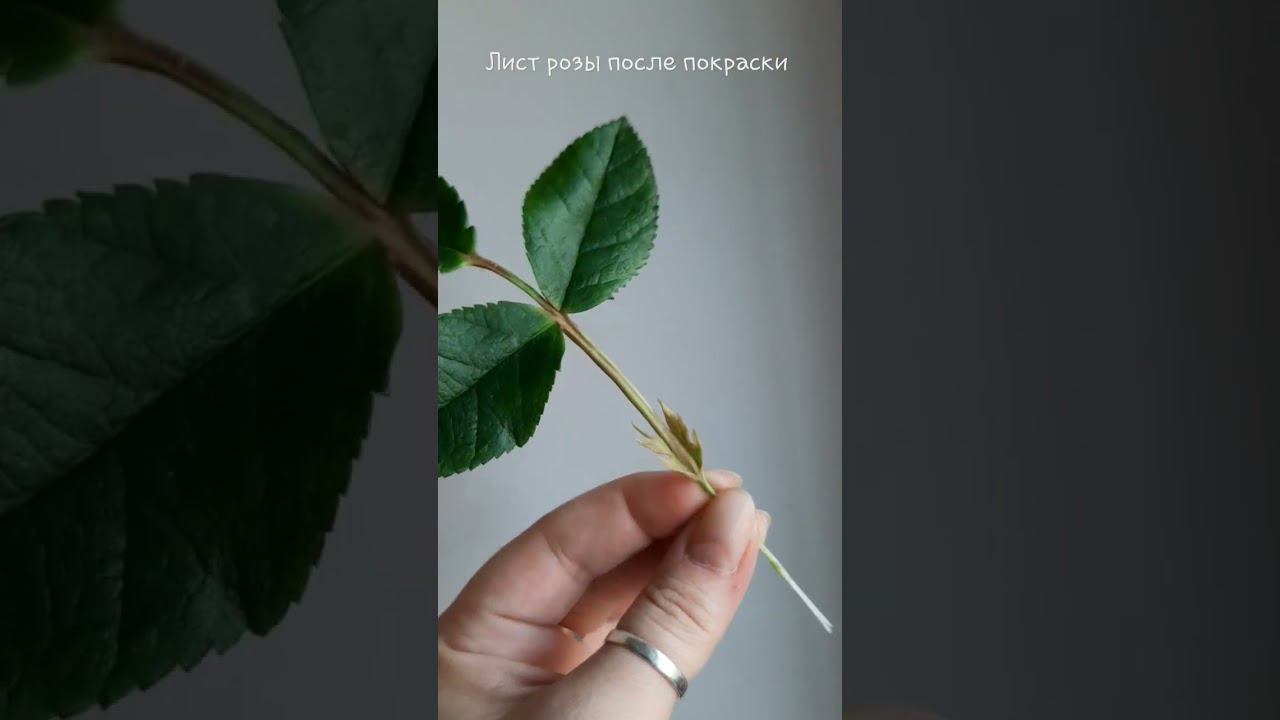 6351e7764b2bb036bccc9695008a9bce