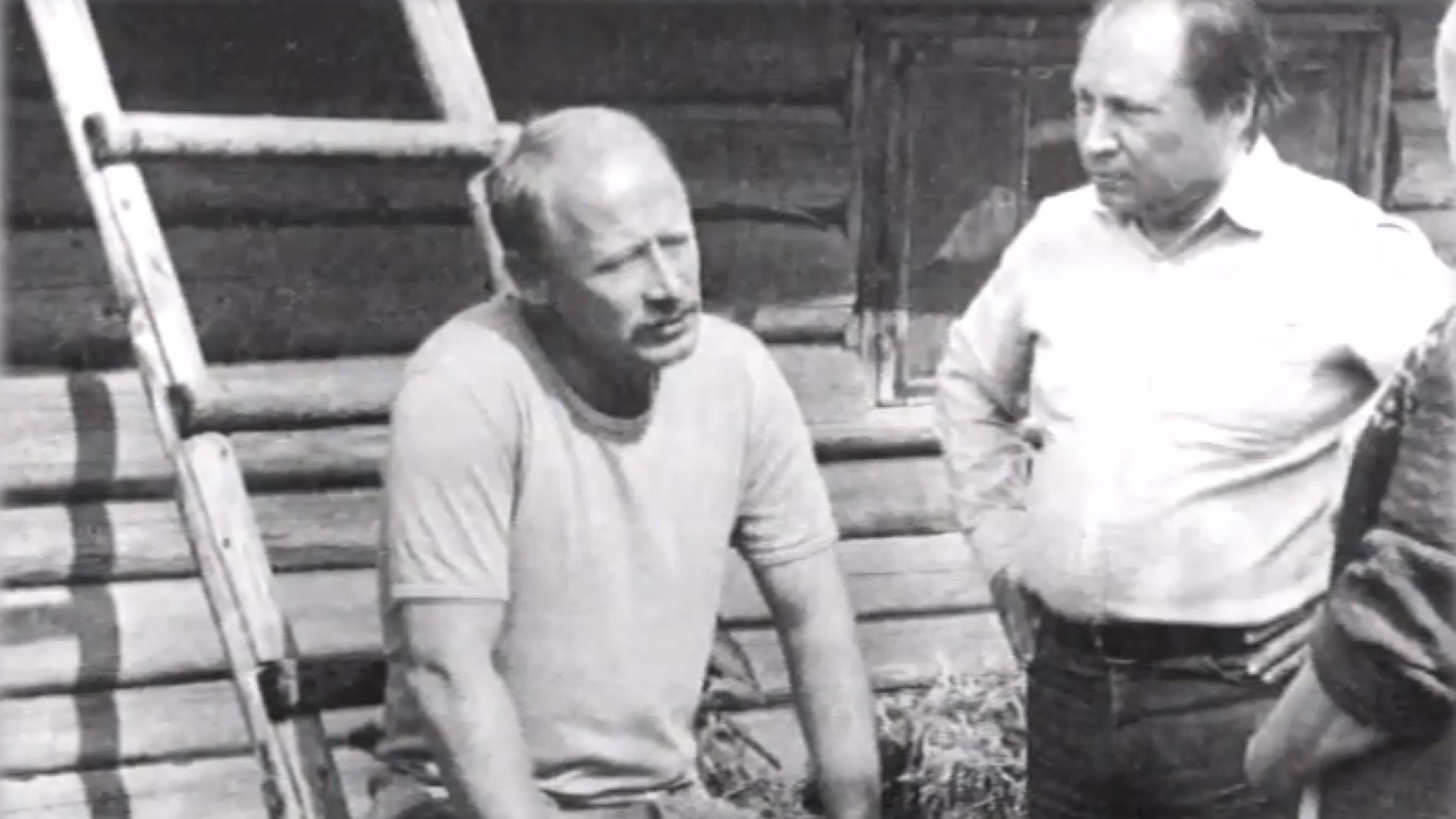 Жизнь. Кино