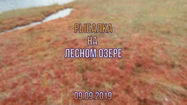 42 Perches 09.09.2019.