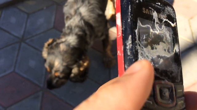 73554c9db076bdf23415edde7e6b482e