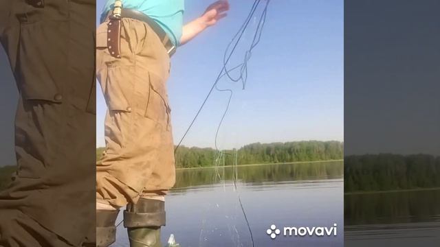 Постановка и проверка сетей
