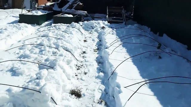 Подготовка парников к сезону. 15.03.2018