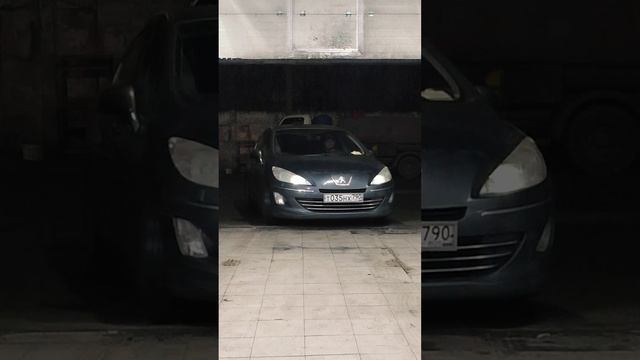 Пежо Ситроен shorts#