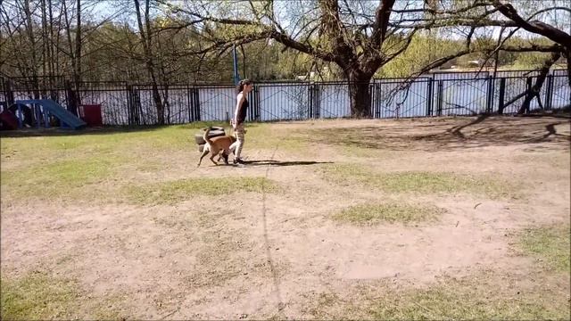 Движение рядом Этапы