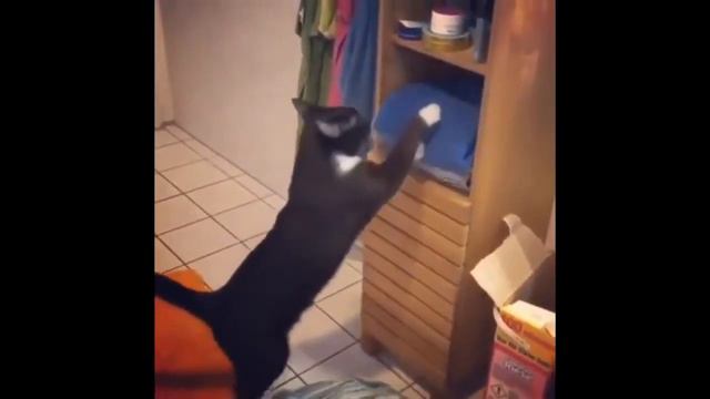 4faf05320f77c37c11988b089042c84e