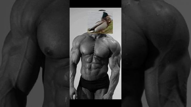 рельсы шпалы кирпичи