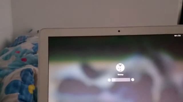 MacBook A1342 With New Ssd Startup