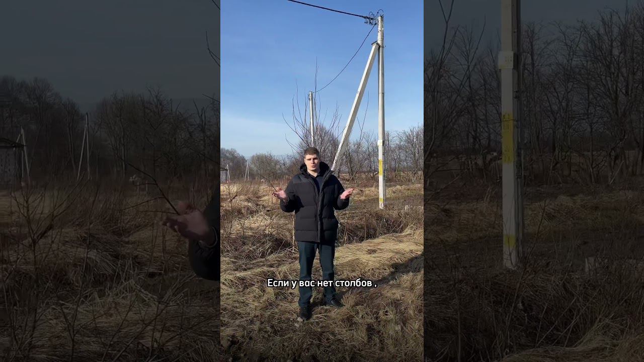 24 февраля 2024 г.