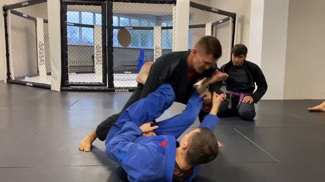 Как пройти Lasso Guard ? | Лев Гладких