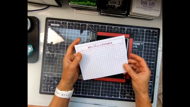 Unboxing The New Mini Misti ~ My Sweet Petunia / Inkon3