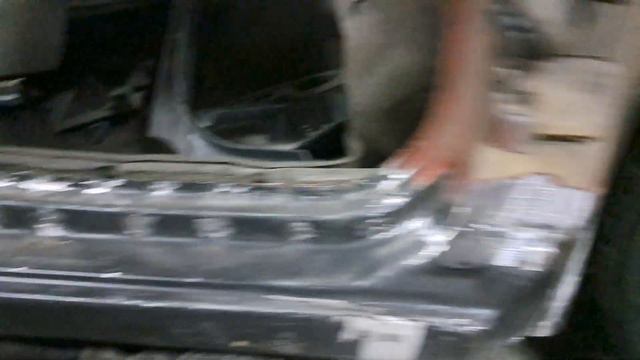 Ботаническая роскошь