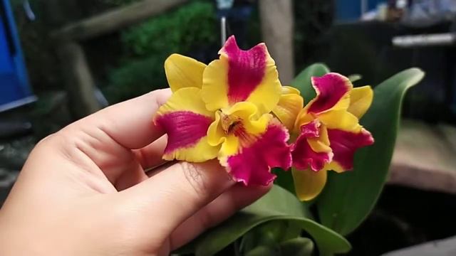 1801aa6edf854c788df4e874e03002ab