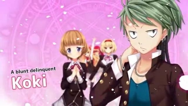 THE PRINCESS THE STRAY CAT AND MATTERS OF THE HEART