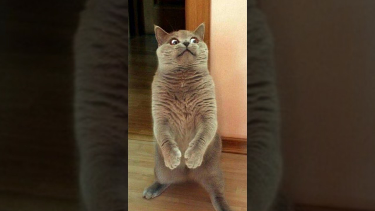 B5e0f57f2f38714011d36edfe96a900e