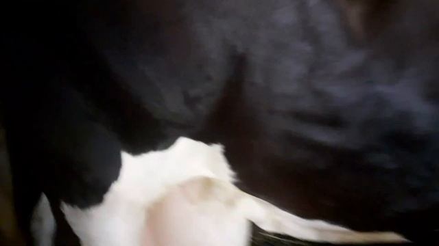 Строительный Детектив