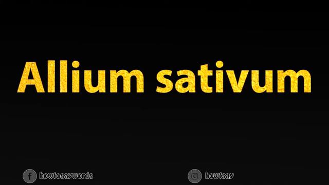 How To Pronounce Allium Sativum