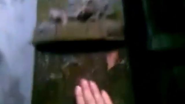 Новогодние подарки ополчения ДНР