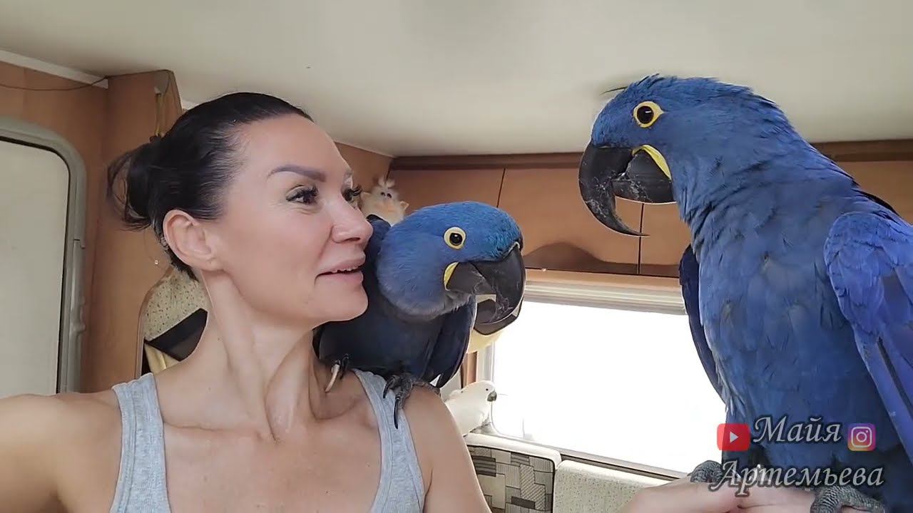 9f0a5afae8aba3ab567eb10b6ae68f2e